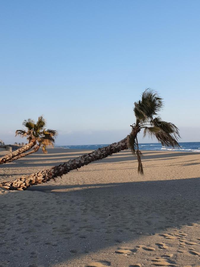 Reve Mediterraneen, La Vie De Chateau Le Barcarès Екстериор снимка